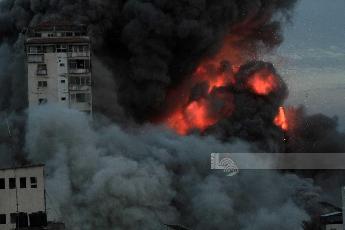 (تصوير: وفا)